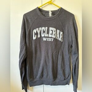 Gray cyclebar sweatshirt